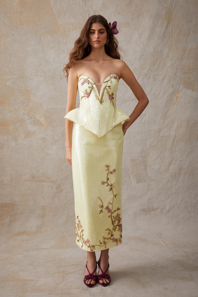 Dilruba Skirt — a closer view