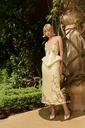 Dilruba Skirt